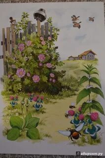 Покажи шипунова