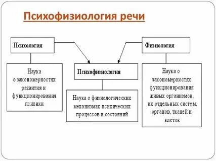 Какие системы обеспечивают речь