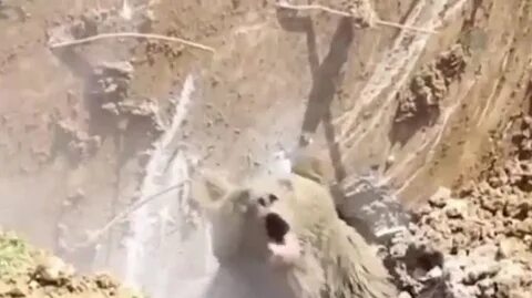 Случайно наткнулся на этот