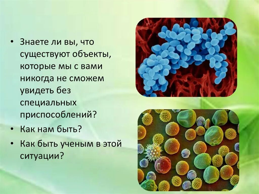 Информация про биологию. Презентация по биологии. Тема урока по биологии 5 класс ли. Проект по биологии 5 класс. Биология 5 класс 1 урок презентация.