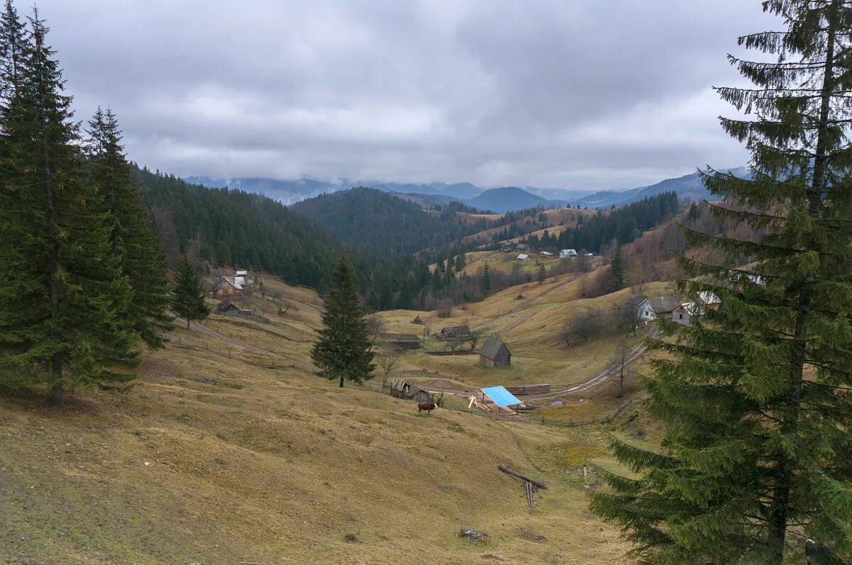 Памир карпаты. Село шепот карпаты. станция памир в карпатах. памир в карпатах.