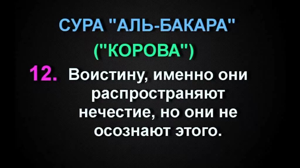 Сура Аль Бакара. Сура Аль Бакара корова. Сура корова. Сура Аль Бакара страница.