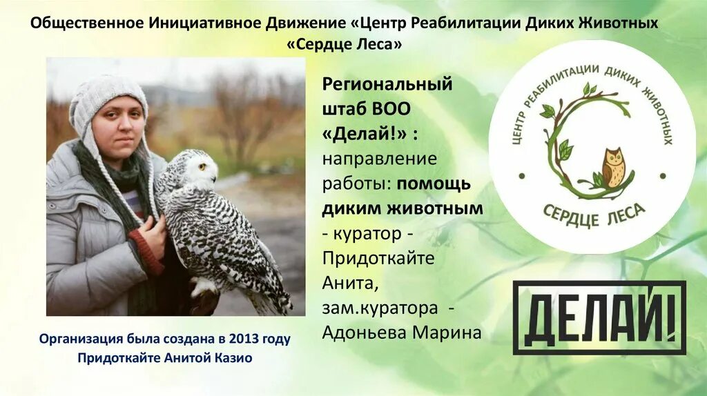 Центр реабилитации феникс калуга. Реабилитационный центр для животных. Центр реабилитации диких. Центр реабилитации диких. Центр реабилитации диких животных хабаровск.