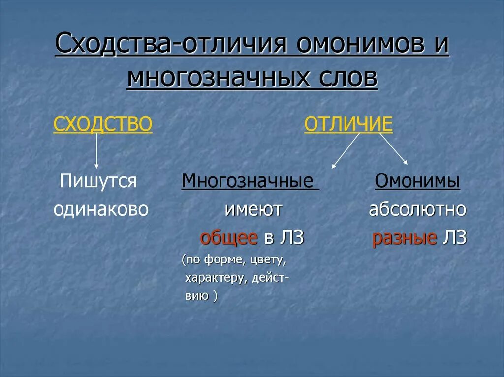 Чем отличаются многозначные слова от омонимов. Омонимы и многозначные слова различия. Омонимы примеры. Многозначность и омонимия различия. Омонимы и многозначные слова примеры.