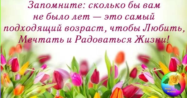 Сколько б не было вам лет. Сколько бы вам было лет. Самый Возраст любить мечтать и радоваться. Сколько бы вам не было лет это самый. Запомните сколько бы вам не было лет это самый.