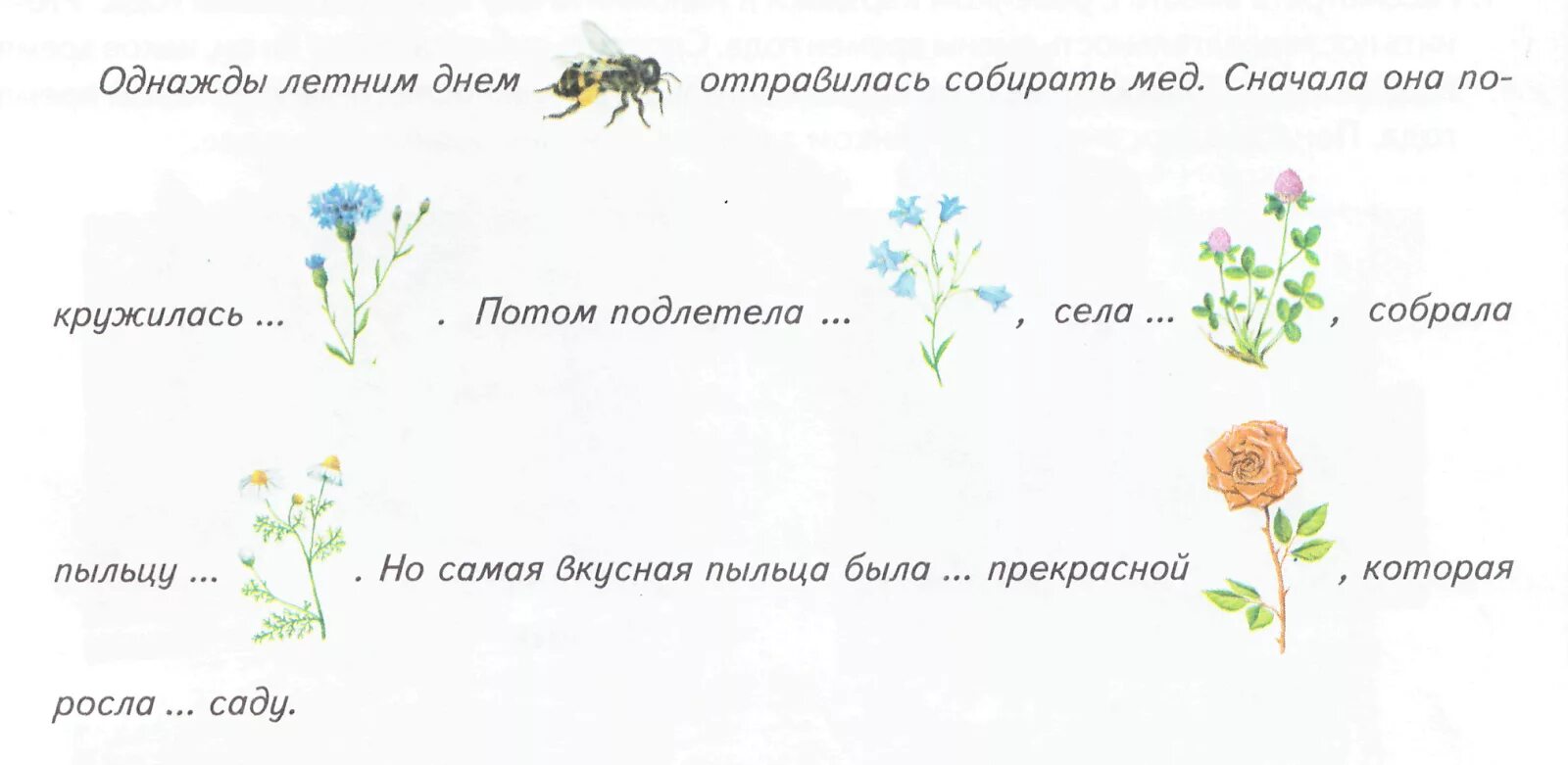 Полевые цветы задания для дошкольников. Задания по теме полевые цветы для дошкольников. Задания для дошкольников цветы названия. Задания по теме цветы для дошкольников. Текст однажды в летнюю