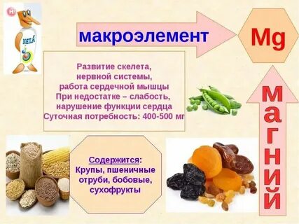 Все макроэлементы в живых организмах