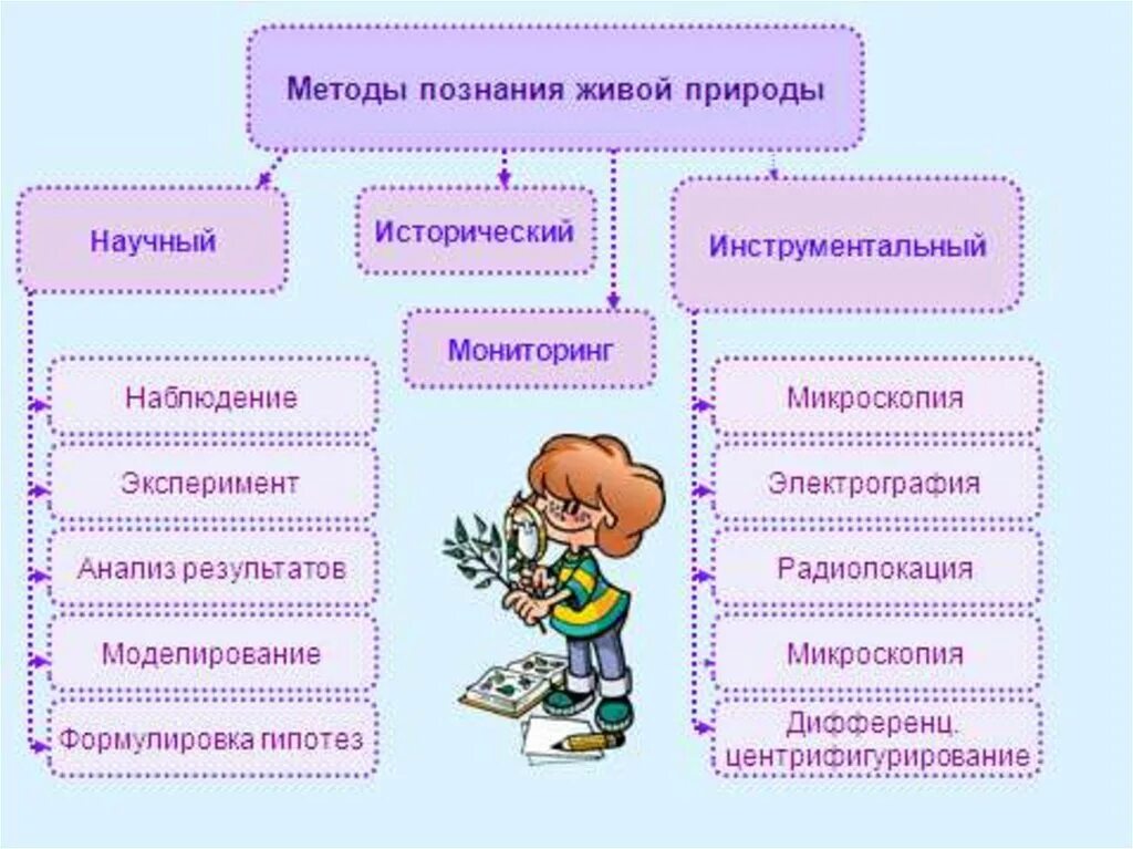 Методы познания живой природы 5 класс