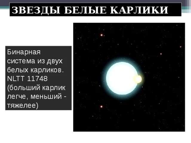 Что не входит в состав белого карлика