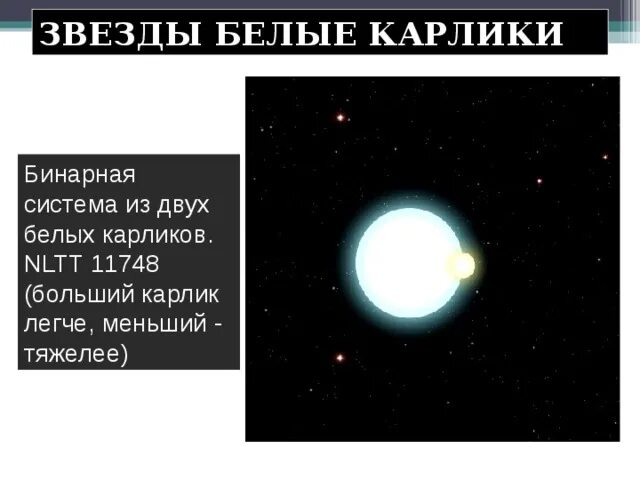 Что не входит в состав белого карлика. Белый карлик звезда. Белый карлик звезда характеристика. Белые карлики звезды строение. Белые карлики презентация.