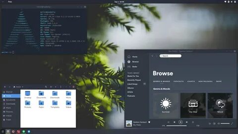 Linux themes