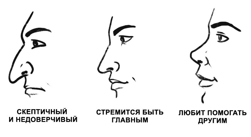 О чем говорит нос мужчины. Как понять по чертам лица характер человека. Физиогномика. Физиогномика картинки. Физиогномика лица.