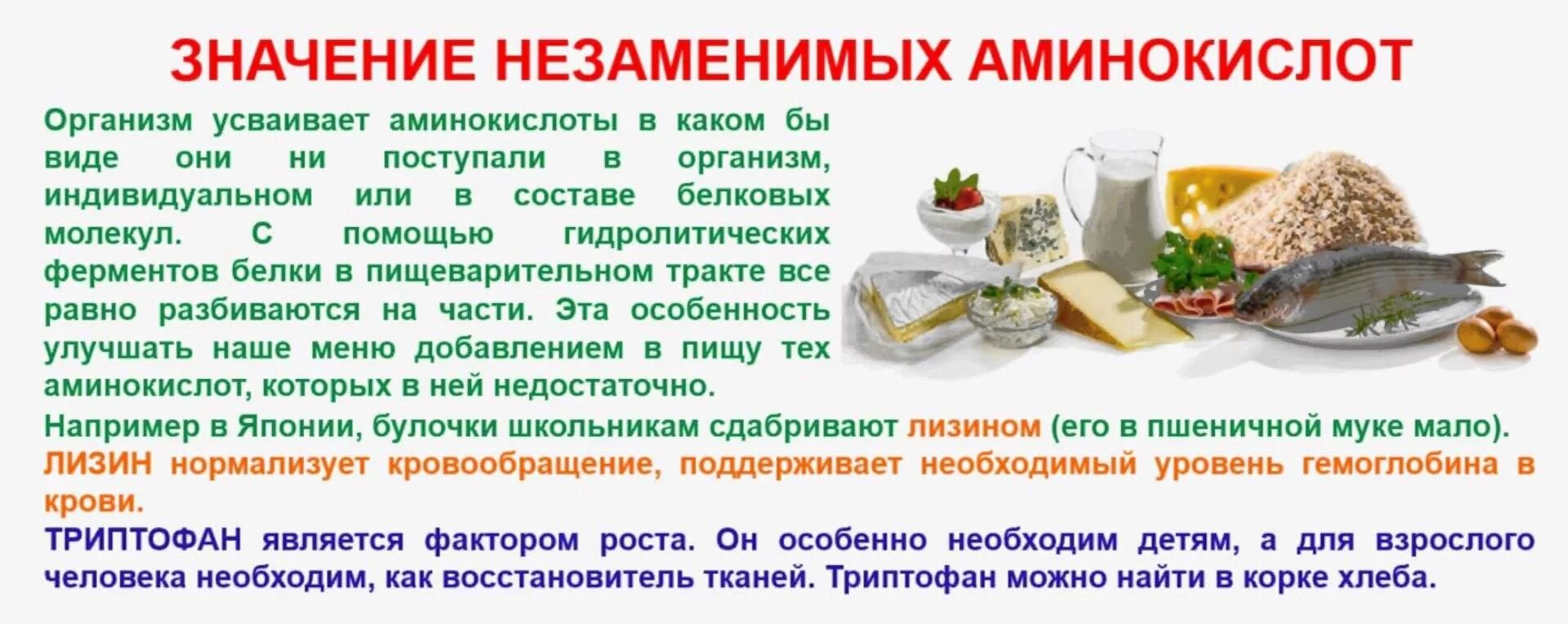Незаменимая аминокислота в организме человека. Незаменимые аминокислоты их роль в организме. значение незаменимых аминокислот в организме человека. значение аминокислот для человека. значение аминокислот в организме человека.