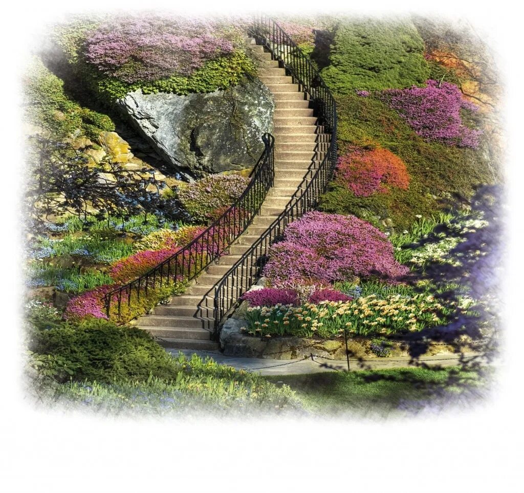 Какие картинки можно. Лестница пейзаж. Сказочные ступеньки. Лестница в саду картина. Красивый пейзаж с лестницей.