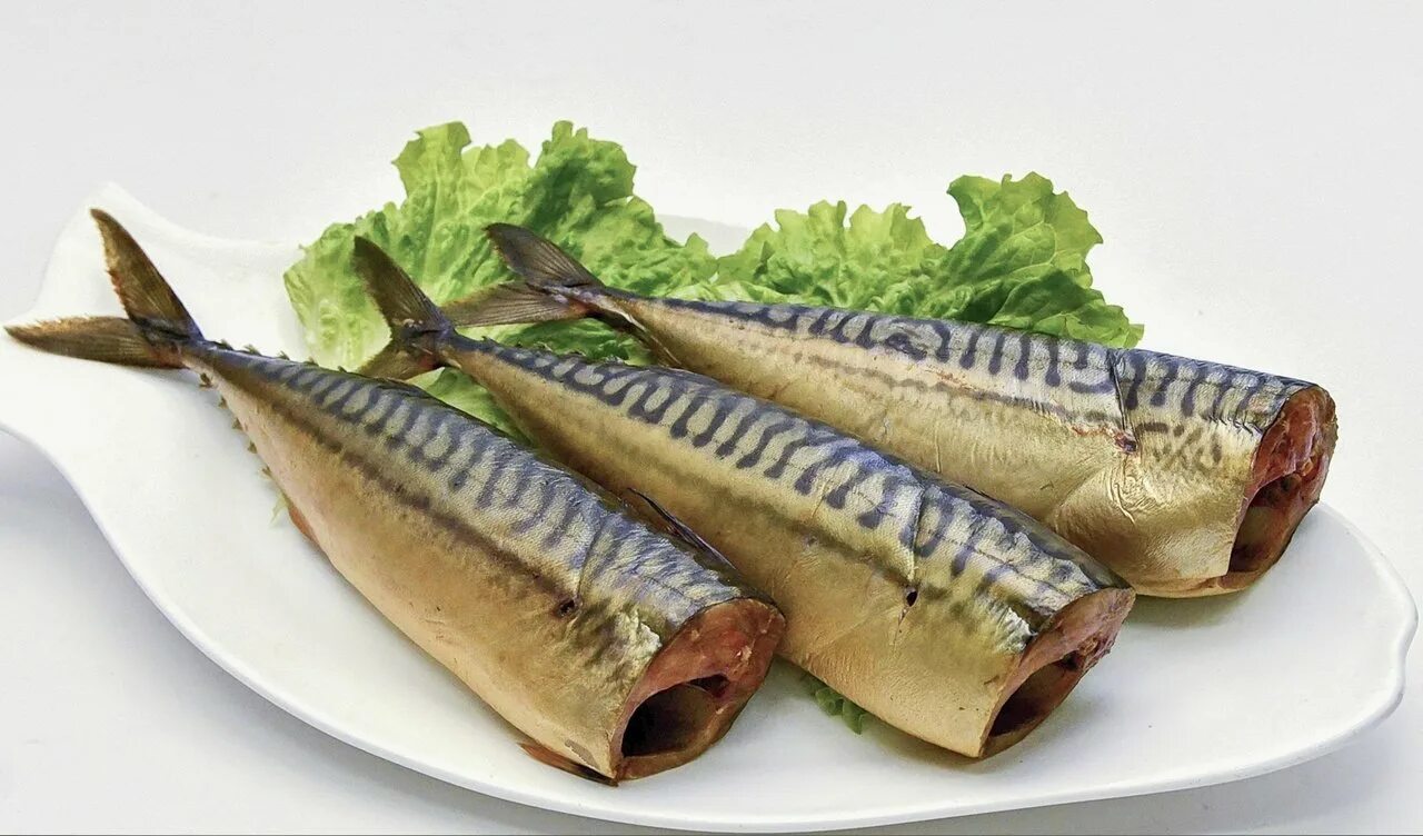 Скумбрия холодного и горячего. Рыба скумбрия копченая. макрель рыба копченая. скумбрия холодного копчения. скумбрия копченая холодного копчения.