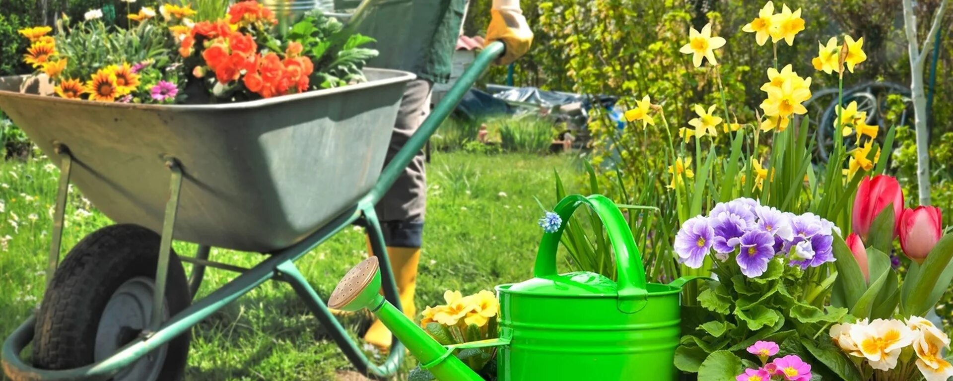 Дачная группа. Огород в ведрах на даче. Товары для сада и огорода. Дачная группа. Дачный участок.