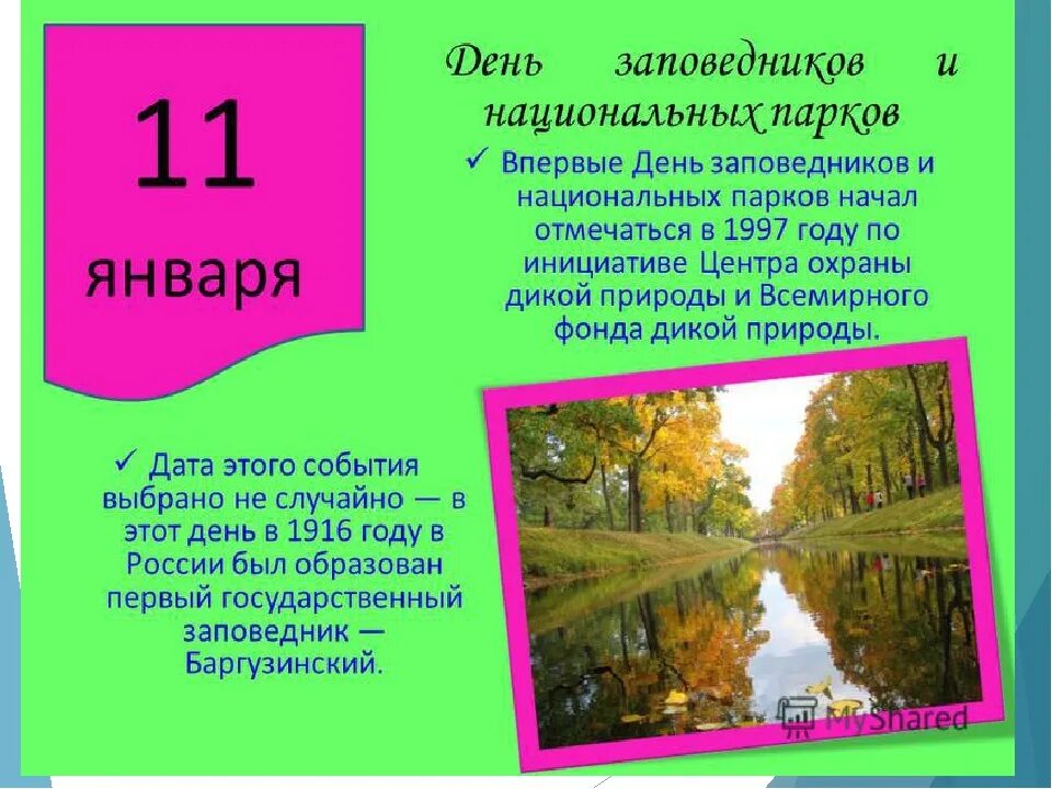 Когда отмечается день заповедников и национальных парков. 11 января день заповедников и национальных парков. день заповедников и парков 11 января. 11январяпн день заповедников и национальных парков россии. 11янворя день заповедника.