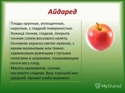 Какой вкус яблока