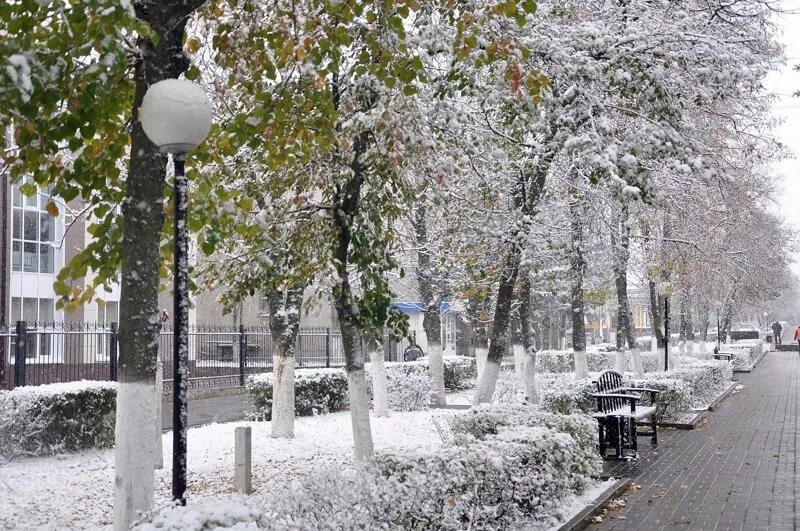 Толстого 1 снег. Первый снег. Первый снег в городе. Снегопад в городе. Снег идет весной.