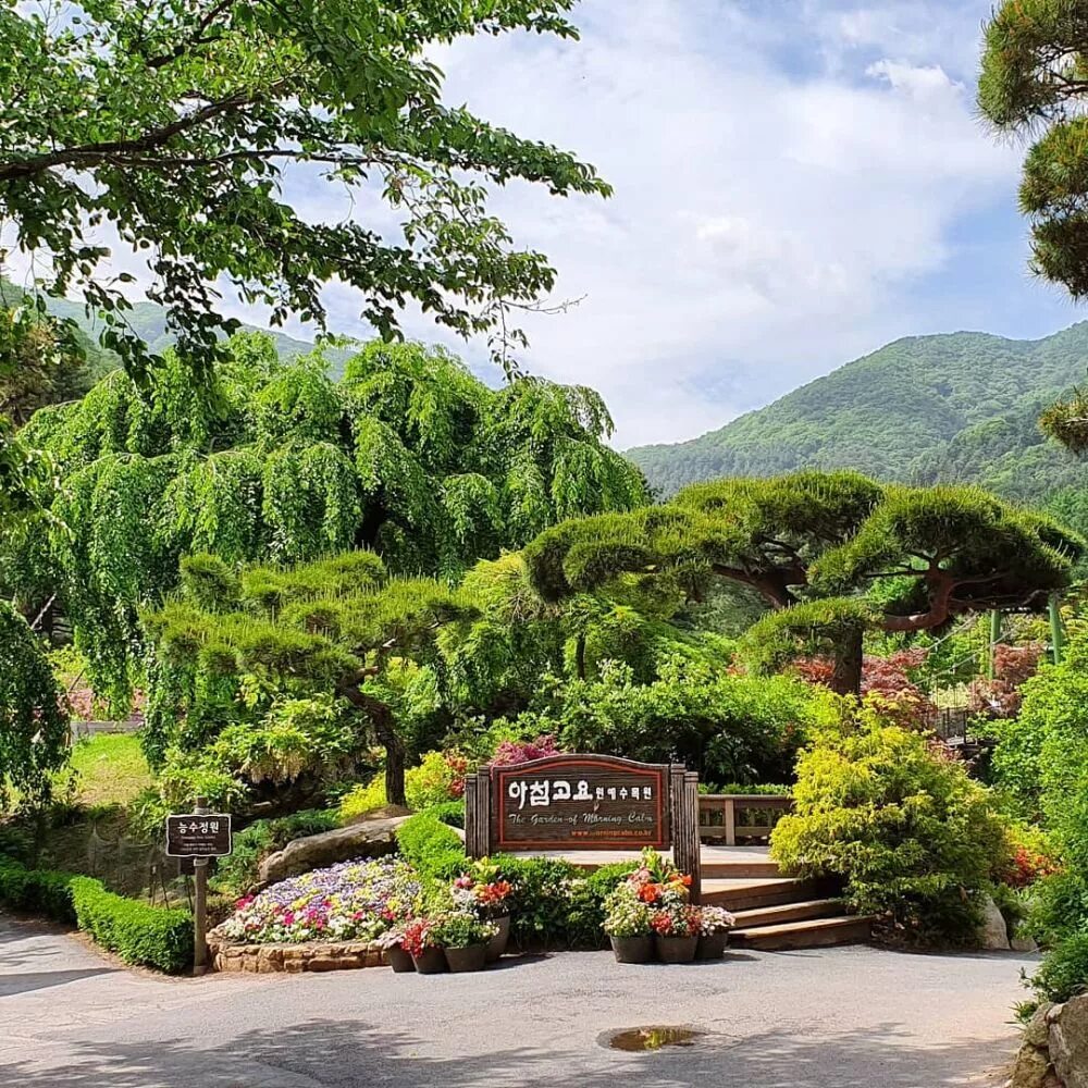 Сад утренняя 1. The garden of morning calm хагён. Сад утренняя 1. Японский сад цветов. Garden.