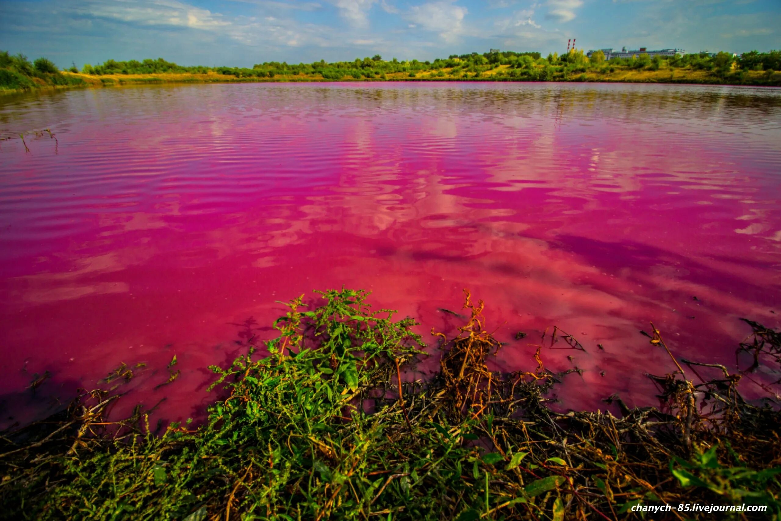 Розовый водоем. Лагуна салинас де торревьеха. Розовый водоем. Розовый водоем. Розовый водоем.