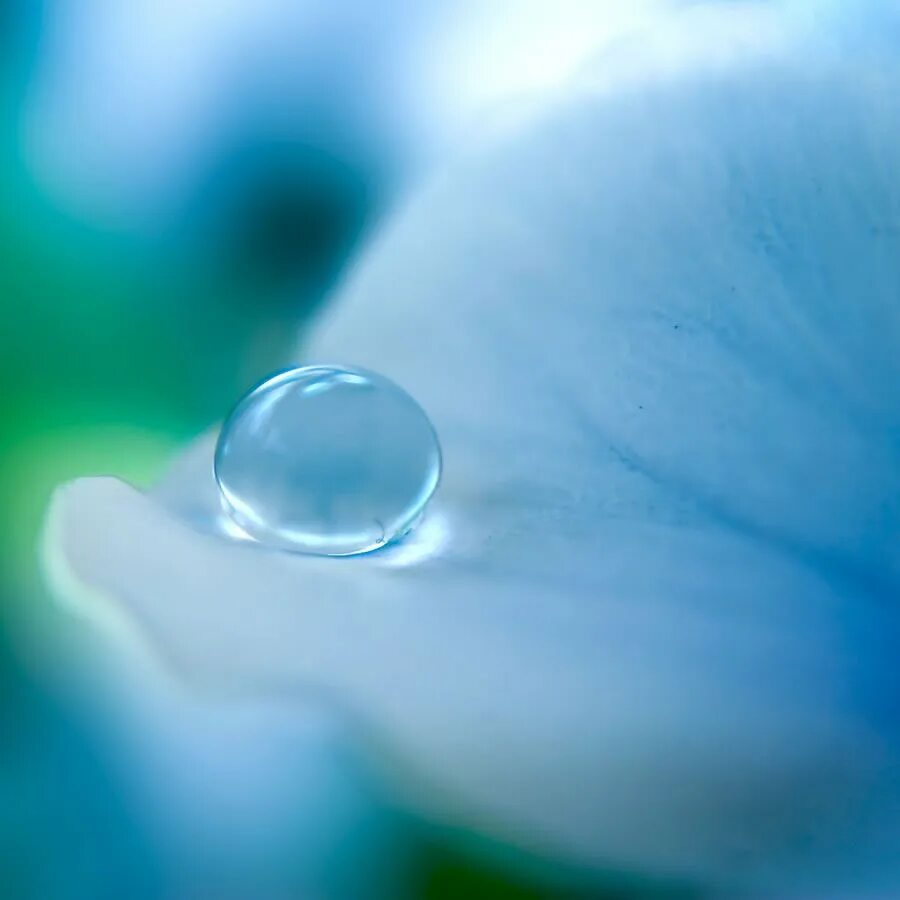 Природа макро. Капли на стекле радужные. Лист с каплями. Капли воды на листьях. Макросъемка капли.