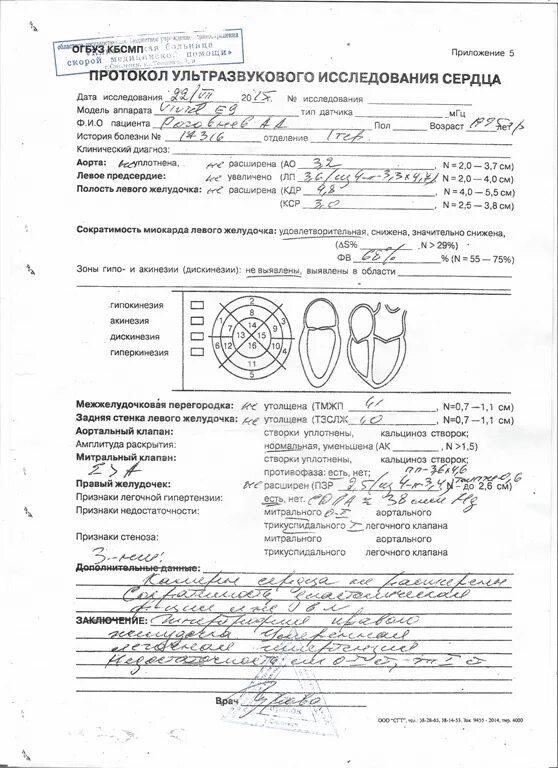 Протокол эхокг. Узи сердца протокол исследования. эхокардиография протокол исследования. узи сердца протокол исследования образец. протокол узи эхо-кг сердца.