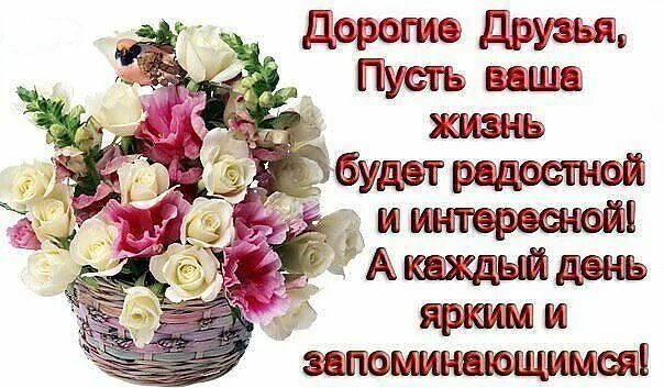 пусть ваши страницы. читайте и пусть не будет ни одного дня когда бы вы не прочли. яркая красочная открытка спасибо. пусть ваш день. пусть ваши страницы.