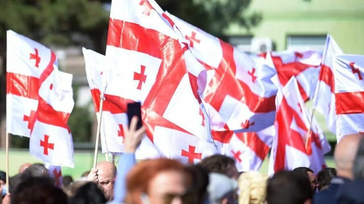 Партия национальное движение. Партия национальное движение Грузия. Грузия и НАТО. Грузия политика. Грузия вступила в НАТО.