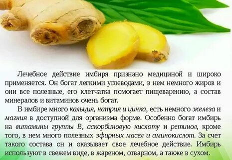 Кому нельзя есть имбирь