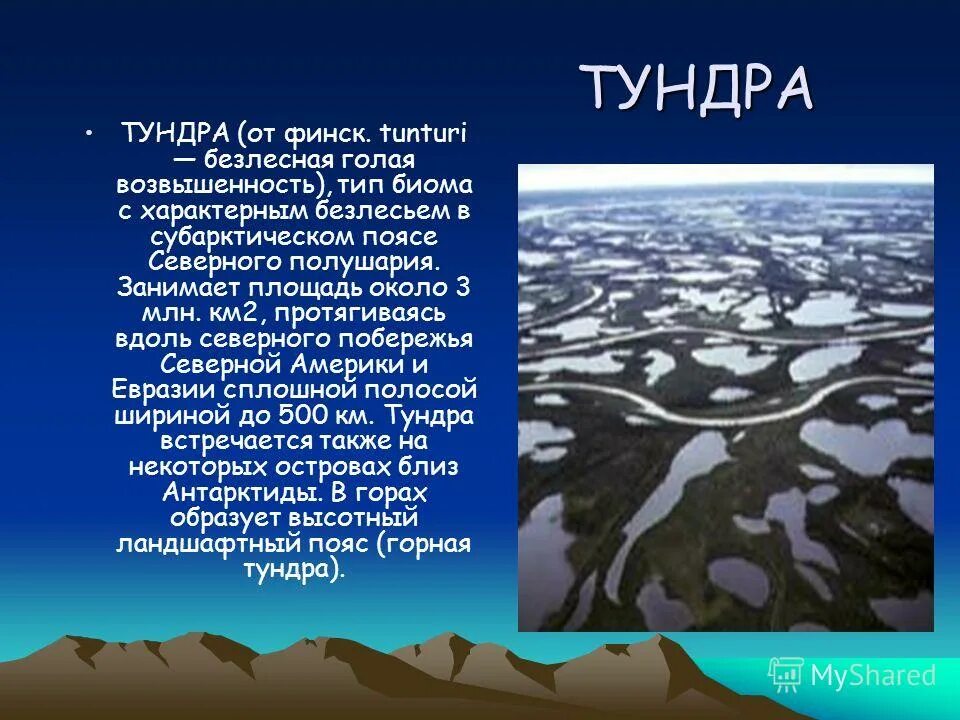 Природная зона тундра климат. Доклад о тундре. Тундра презентация. Сообщение о тундре. Верное высказывание о тундре