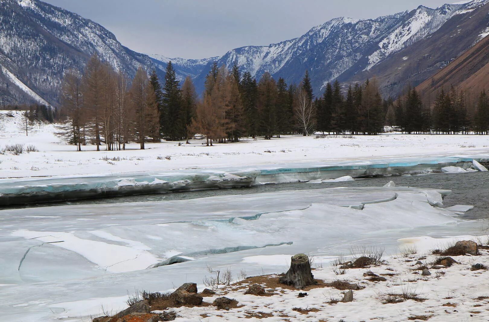 зима. алтай чемал март. алтай катунь весной река. алтай маральник катунь. катунь.