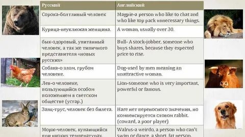 Анализ русским переводом