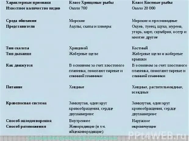 Сравнительная таблица хрящевых и костных