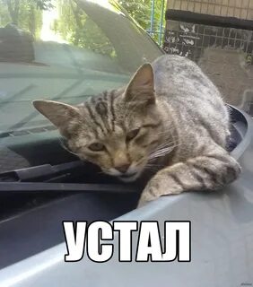 Уставший мем
