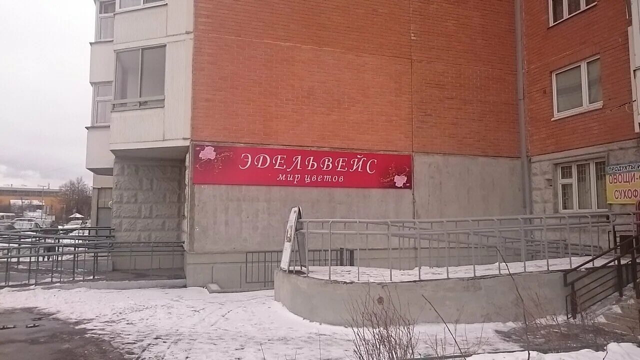 Ижевск, ул. Колибри ижевск улица ворошилова 83. Ворошилова, 83. Ао тк эдельвейс. Ворошилова 136 ижевск.