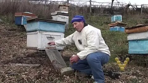 30 ульев дали за лето по 36
