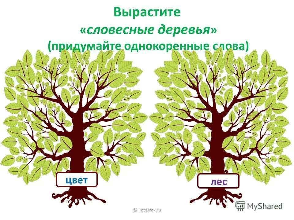 Дерево придумать слова. Дерево с однокоренными словами. Дерево однакореные Сова. Словесное дерево.