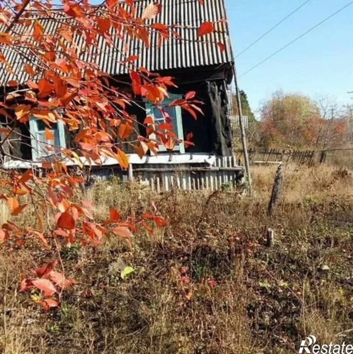 Пензенская обл с бакшеевка погода. Пензенская обл с бакшеевка погода. Бакшеевка пензенская область. Пензенская обл с бакшеевка погода. Пензенская обл с бакшеевка погода.