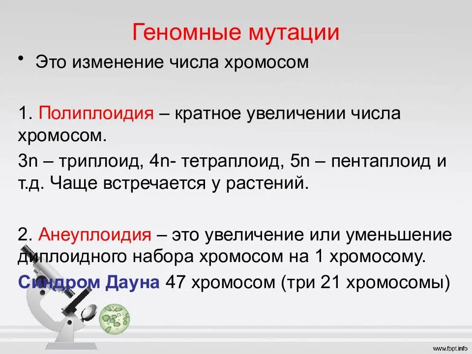 Геномные мутации. Геномные мутации анеуплоидия. Геномные мутации полиплоидия и гетероплоидия. Классификация геномных мутаций. Изменения первой хромосомы