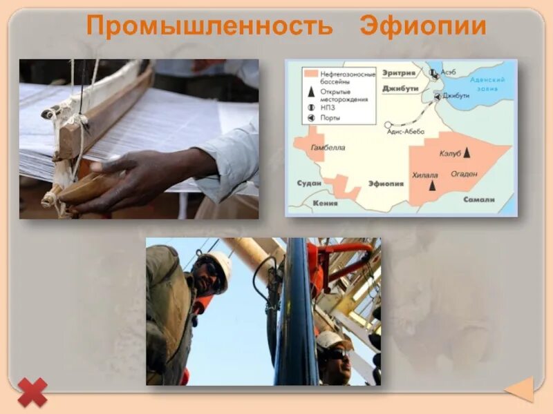 Эфиопия отрасль специализации. Отрасли промышленности эфиопии. Эфиопия отрасль специализации. Сельское хозяйство эфиопии. Отрасли специализации сельского хозяйства эфиопии.