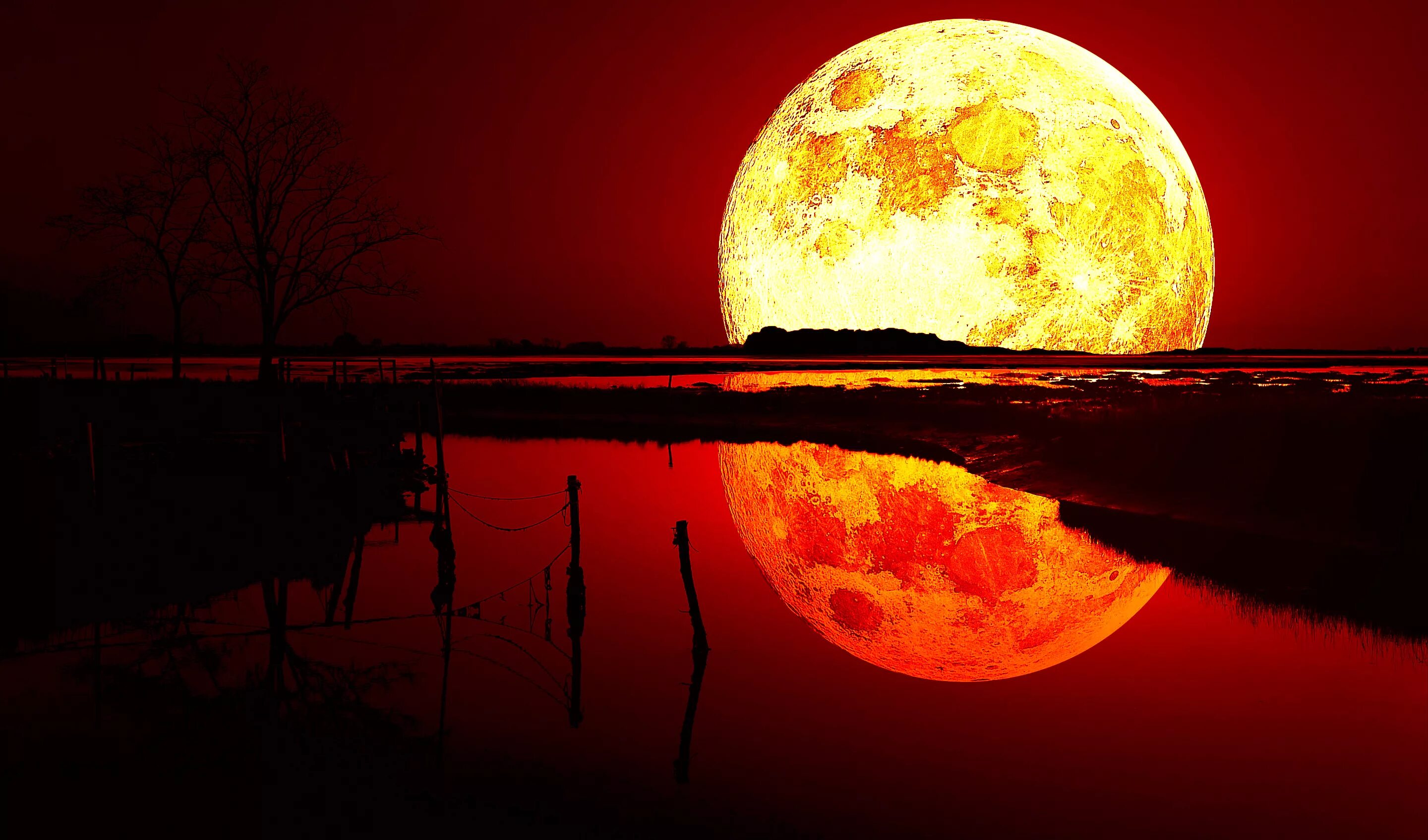 Есть кровавая ночь. Полнолуние Кровавая Луна. Bloodmoon. Кровавая Луна и красная Луна. Кроваво красная Луна.
