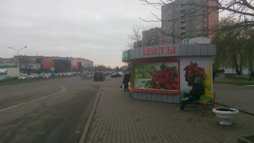 пятый жодино. сш4 жодино. жодино школа 5. лоу специализированная школа 5. пятый жодино.