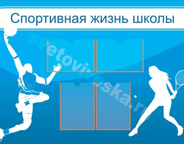 Спортивная жизнь школы