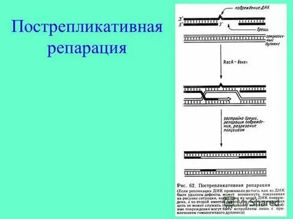 Репарации сумма