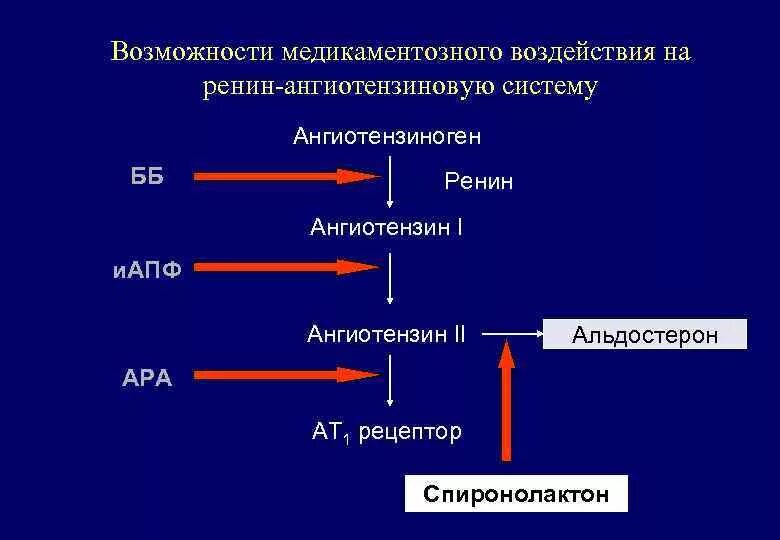 Средства влияющие на ренин ангиотензиновую систему. Блокаторы ренин-ангиотензин-альдостероновая система. препараты влияющие на ренин ангиотензивную систему. гипотензивные средства, влияющие на систему ренин – ангиотензин:.