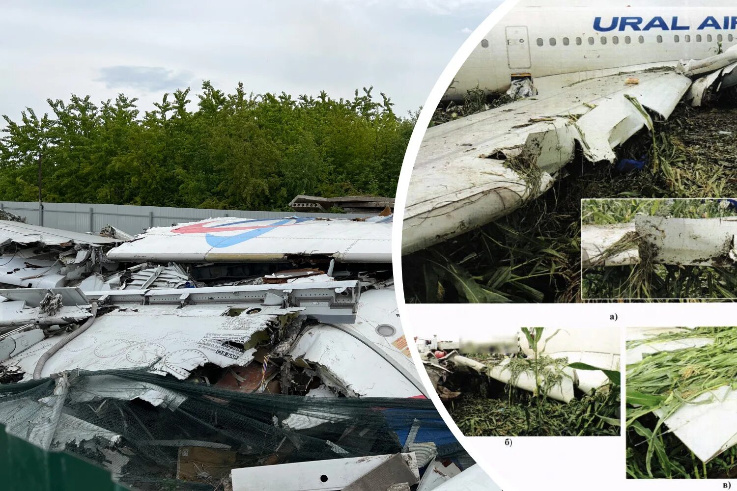 а321 жуковский аварийная посадка. уральские авиалинии кукурузное поле. уральские авиалинии кукурузное поле. а321 сел на кукурузное поле. уральские авиалинии кукурузное поле пилот.