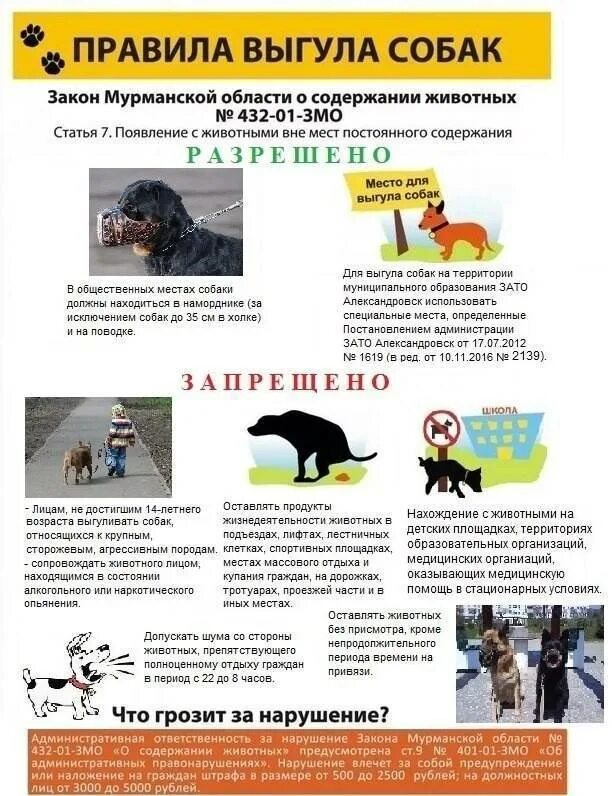 Содержание животных в многоквартирных домах. Выгул домашних животных закон. памятка для владельцев собак. правил содержания домашних животных. памятка выгул собак.