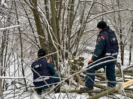 Осадки богородск