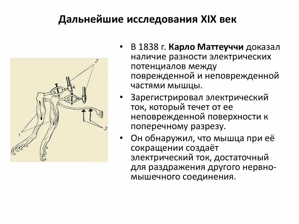 Опыт маттеучи. Опыты гальвани и маттеуччи физиология. вторичный тетанус опыт маттеуччи. опыт маттеуччи физиология. опыт вторичного сокращения маттеуччи.
